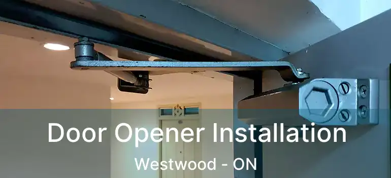  Door Opener Installation Westwood - ON