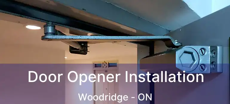  Door Opener Installation Woodridge - ON