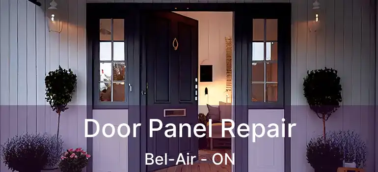  Door Panel Repair Bel-Air - ON