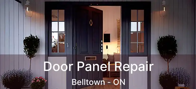  Door Panel Repair Belltown - ON