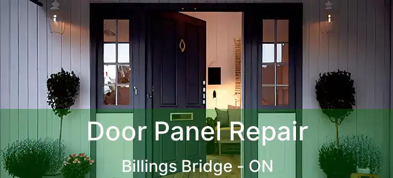  Door Panel Repair Billings Bridge - ON