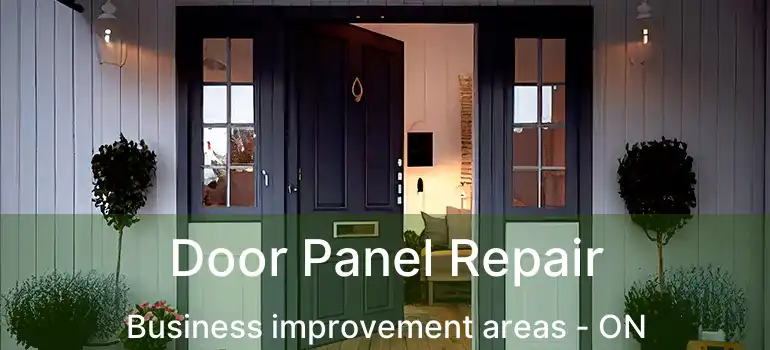  Door Panel Repair Business improvement areas - ON