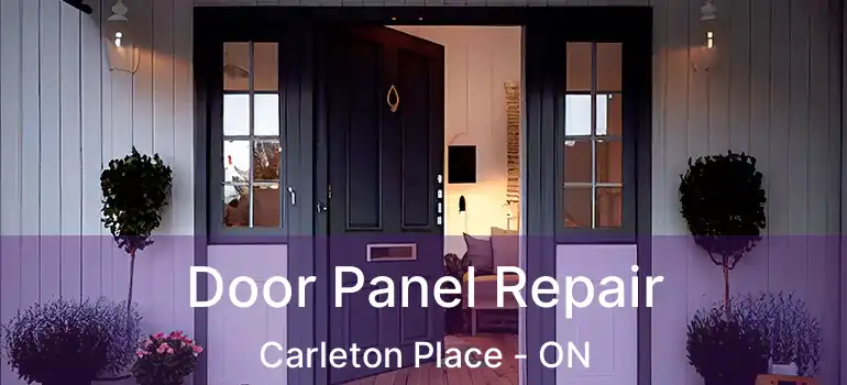  Door Panel Repair Carleton Place - ON