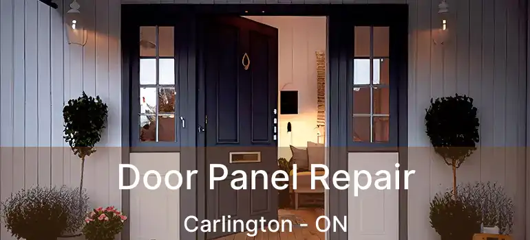  Door Panel Repair Carlington - ON