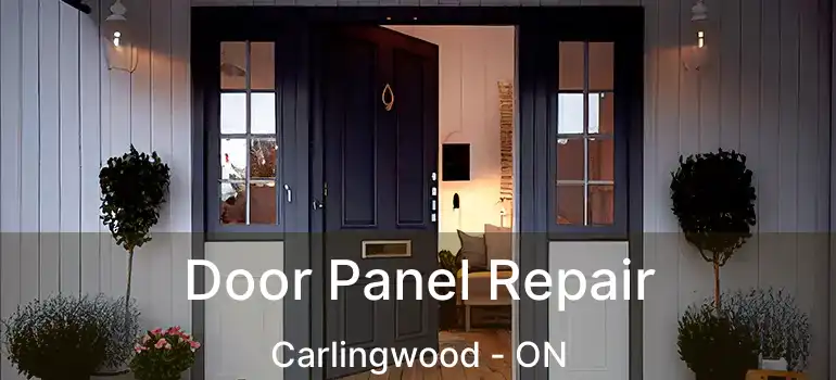  Door Panel Repair Carlingwood - ON