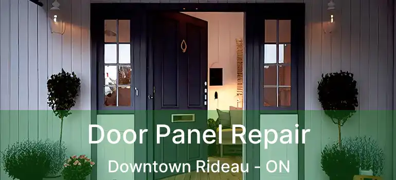  Door Panel Repair Downtown Rideau - ON