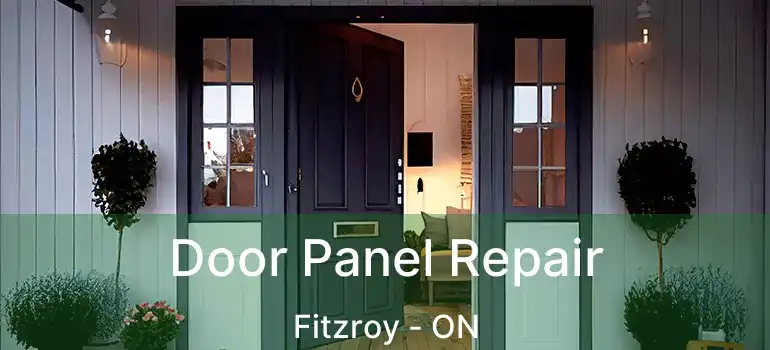  Door Panel Repair Fitzroy - ON