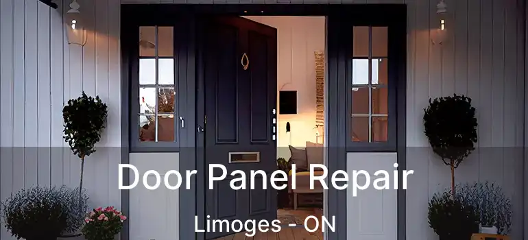  Door Panel Repair Limoges - ON