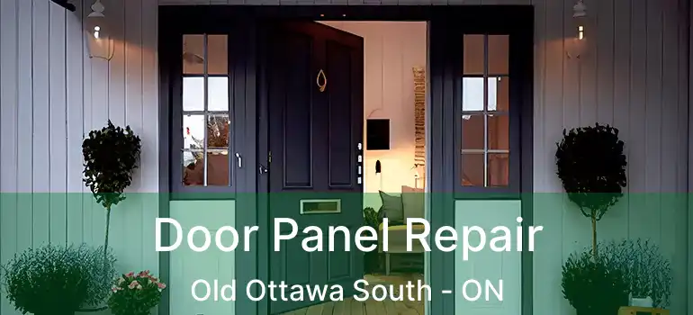  Door Panel Repair Old Ottawa South - ON