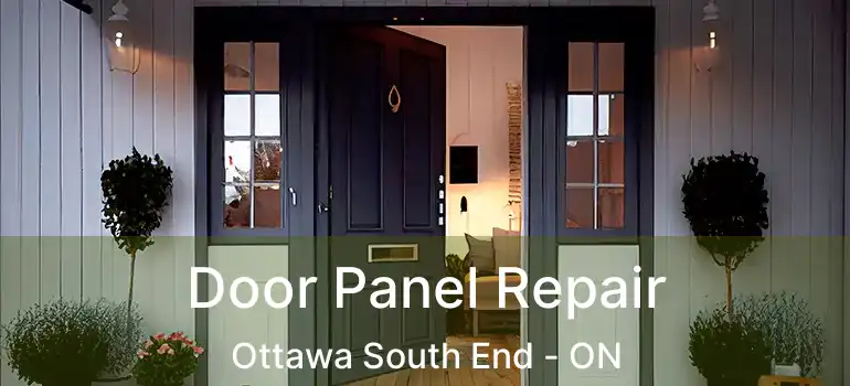  Door Panel Repair Ottawa South End - ON