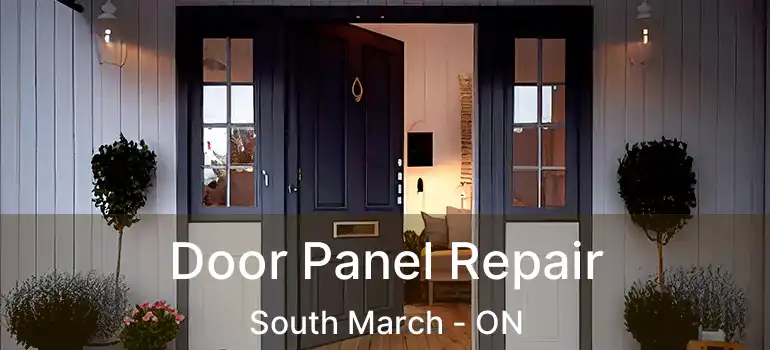  Door Panel Repair South March - ON