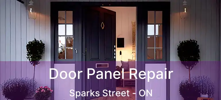  Door Panel Repair Sparks Street - ON