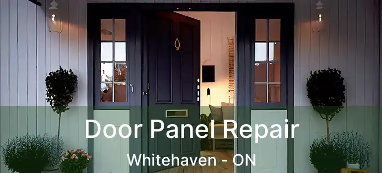  Door Panel Repair Whitehaven - ON