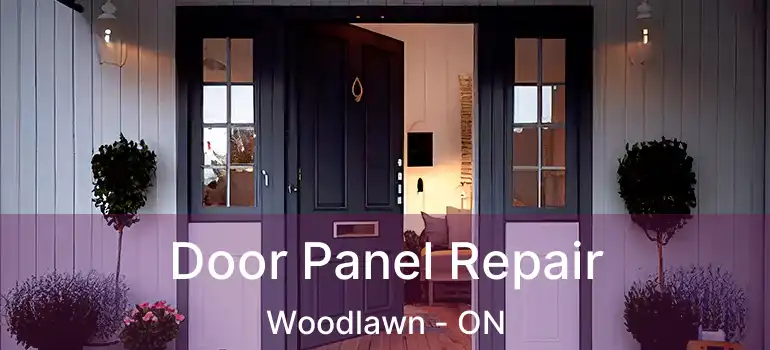  Door Panel Repair Woodlawn - ON