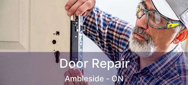  Door Repair Ambleside - ON