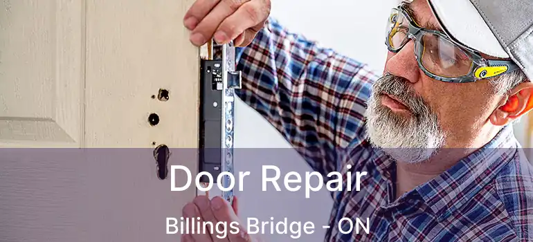  Door Repair Billings Bridge - ON