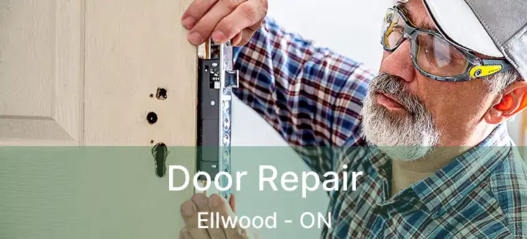  Door Repair Ellwood - ON