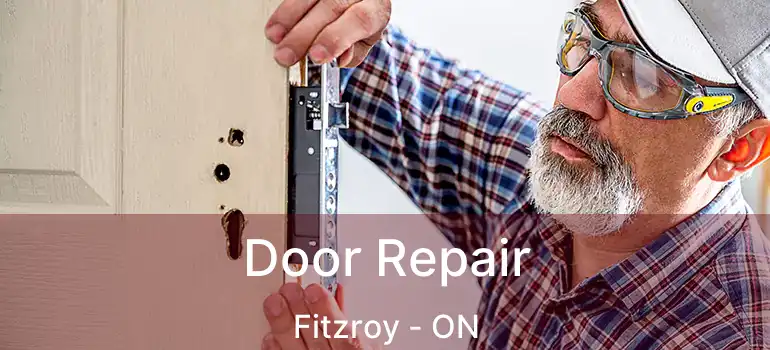  Door Repair Fitzroy - ON