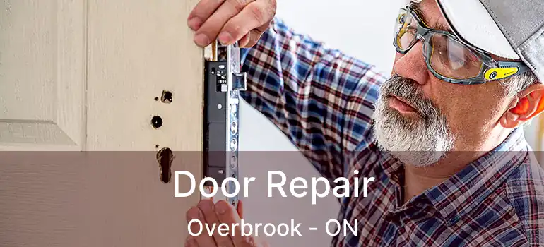  Door Repair Overbrook - ON