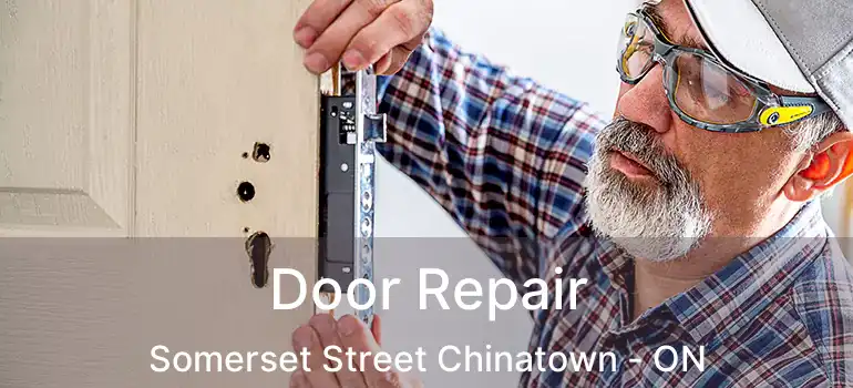  Door Repair Somerset Street Chinatown - ON