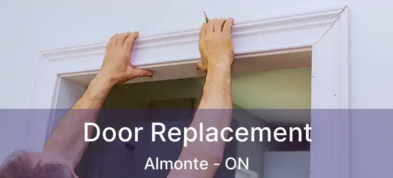  Door Replacement Almonte - ON