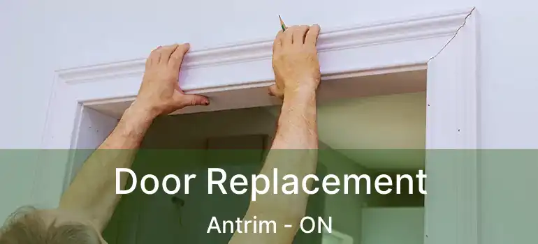  Door Replacement Antrim - ON