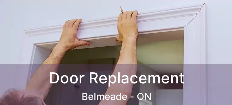  Door Replacement Belmeade - ON