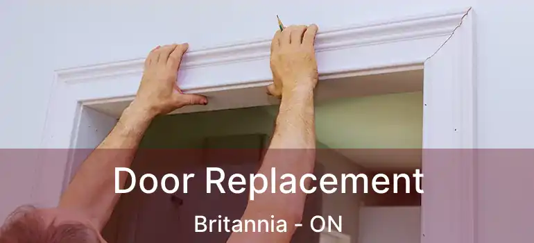  Door Replacement Britannia - ON