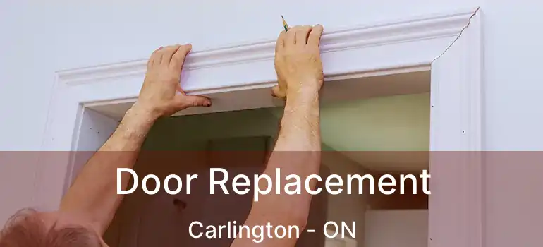  Door Replacement Carlington - ON