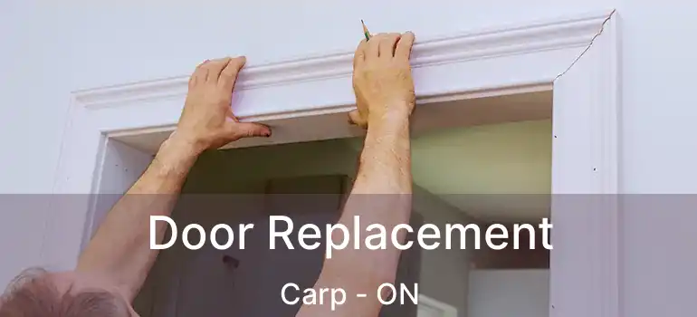  Door Replacement Carp - ON