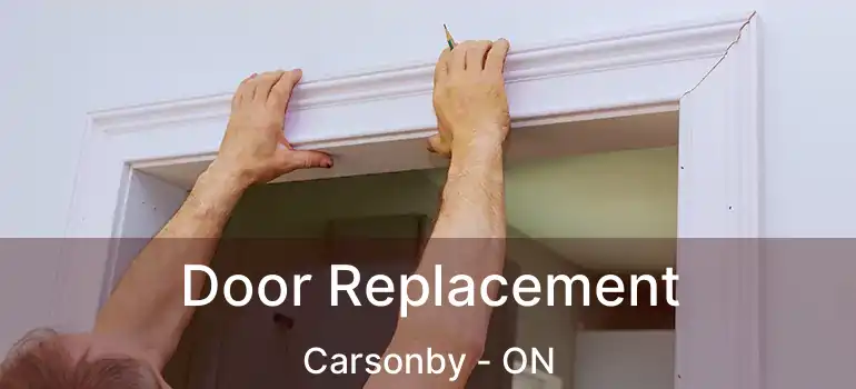  Door Replacement Carsonby - ON