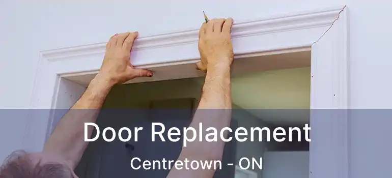  Door Replacement Centretown - ON