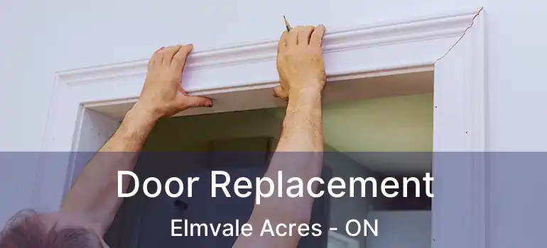  Door Replacement Elmvale Acres - ON