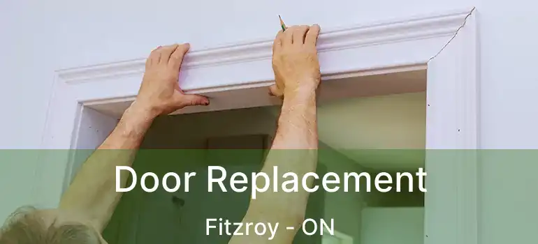  Door Replacement Fitzroy - ON