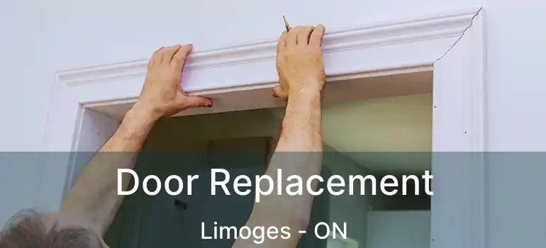  Door Replacement Limoges - ON