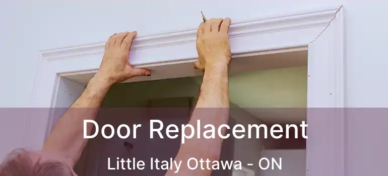  Door Replacement Little Italy Ottawa - ON