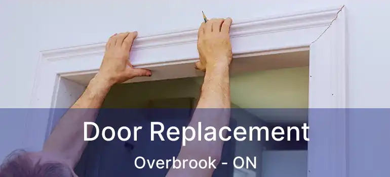  Door Replacement Overbrook - ON