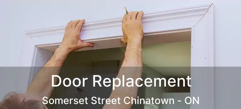  Door Replacement Somerset Street Chinatown - ON