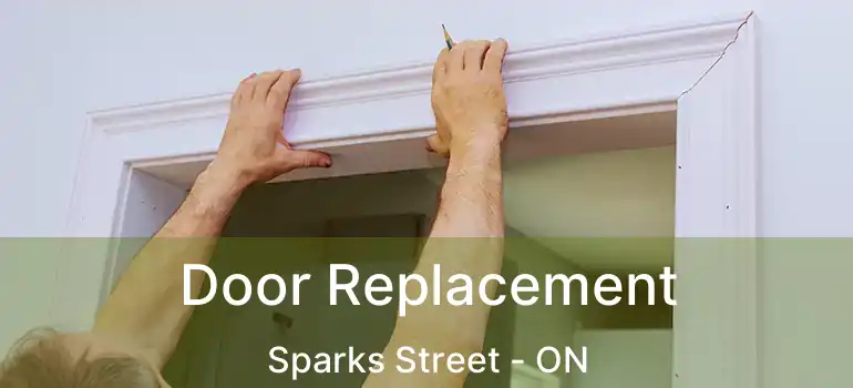  Door Replacement Sparks Street - ON