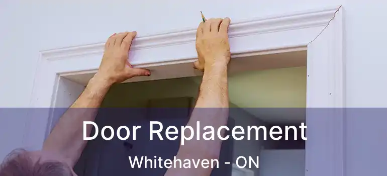  Door Replacement Whitehaven - ON