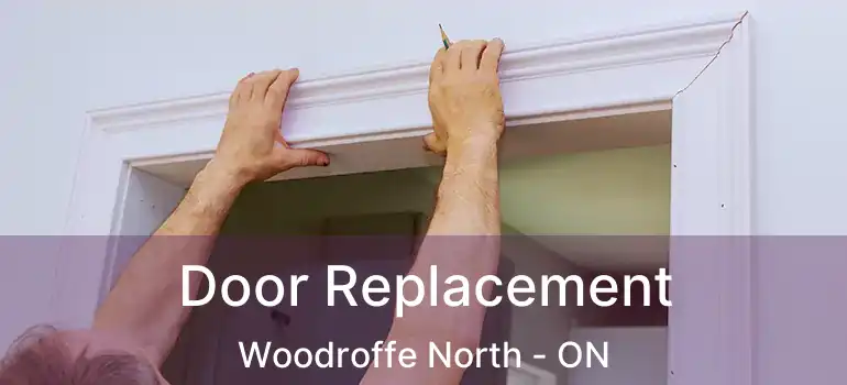  Door Replacement Woodroffe North - ON