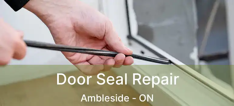  Door Seal Repair Ambleside - ON