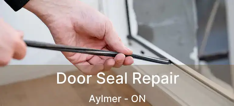  Door Seal Repair Aylmer - ON