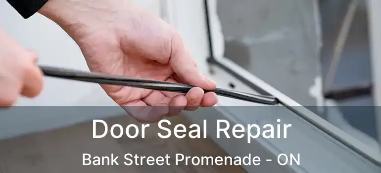  Door Seal Repair Bank Street Promenade - ON