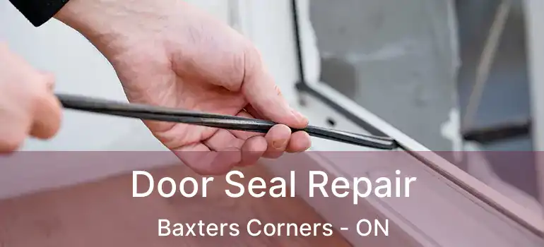  Door Seal Repair Baxters Corners - ON