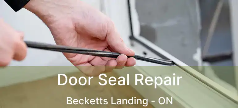  Door Seal Repair Becketts Landing - ON