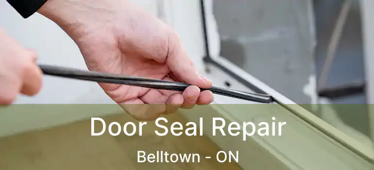  Door Seal Repair Belltown - ON