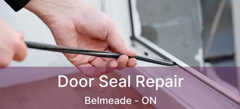  Door Seal Repair Belmeade - ON