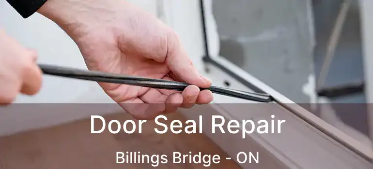  Door Seal Repair Billings Bridge - ON