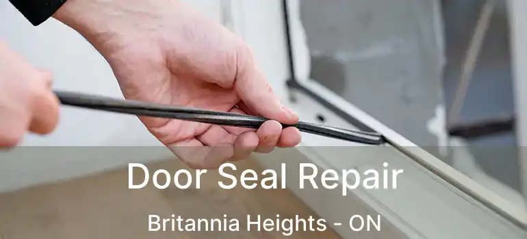  Door Seal Repair Britannia Heights - ON